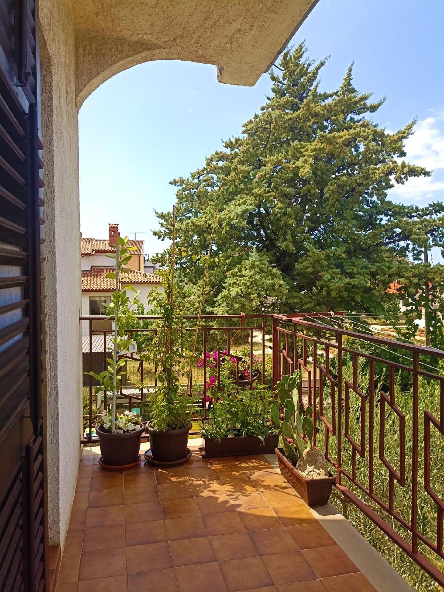 Apartments Villa Laura Pula Bagian luar foto