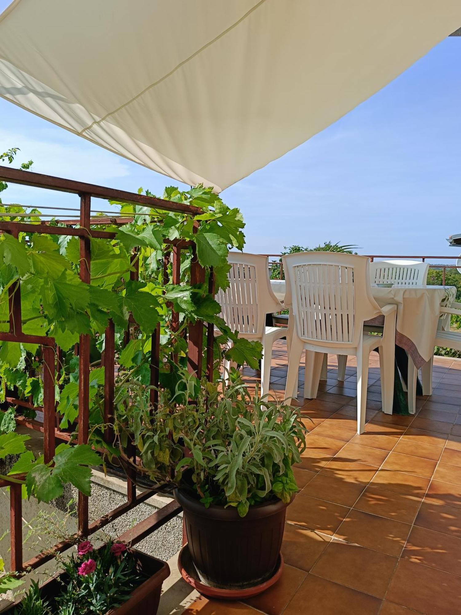 Apartments Villa Laura Pula Bagian luar foto